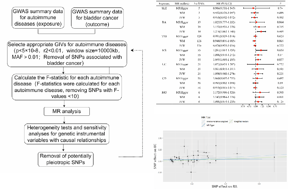 香港小鱼儿二站资料图子