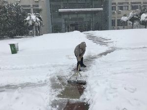 香港小鱼儿二站资料图子